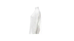 GIF 360