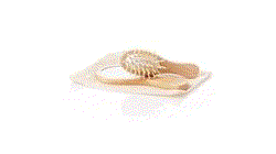 GIF 360