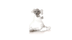 GIF 360