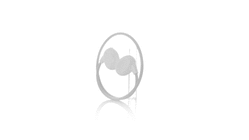GIF 360