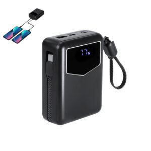 Power Bank Evron